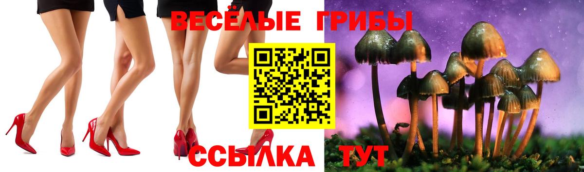 Калач-на-Дону  Псилоцибиновые грибы MAGIC MUSHROOMS  наркотики  Вход с VPN  Галлюциногенные грибы мицелий 